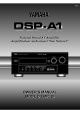 DSP-A1